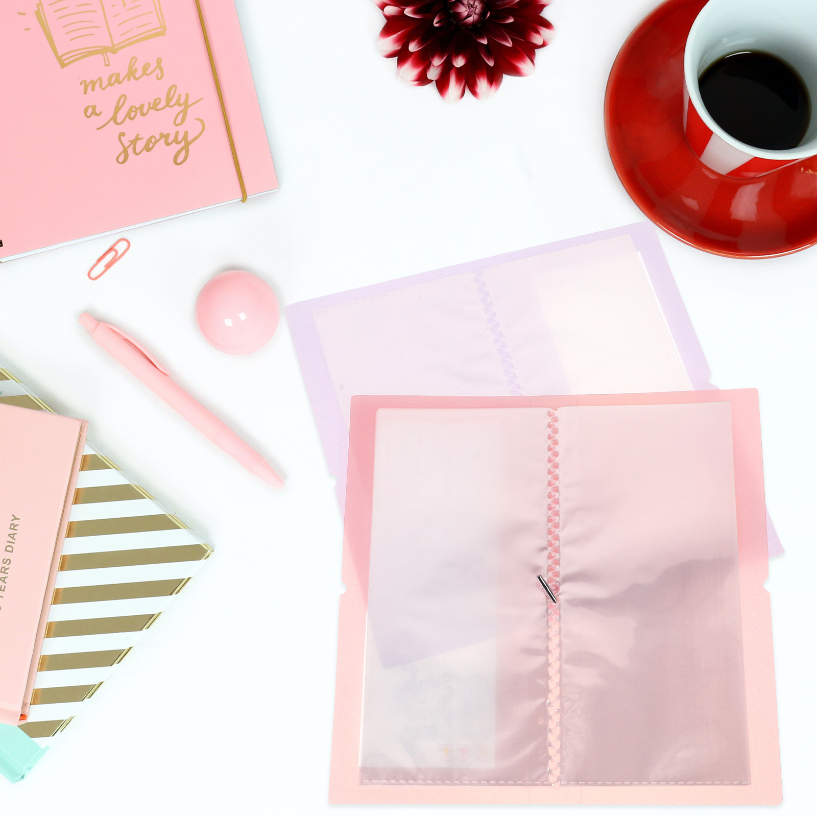 2 Adet Şeffaf Saklama Albümü,  - Stationery Books incelemesi ve fiyatı